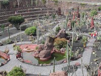 Jardn de Cactus